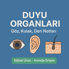 Duyu Organları - Göz Kulak Deri Notları