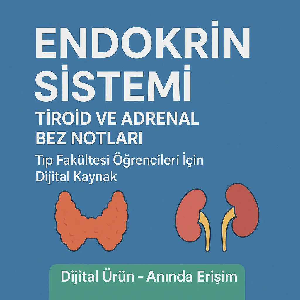 Endokrin Sistem Tiroid ve Adrenal Bez Notları
