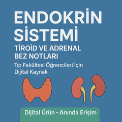Endokrin Sistem Tiroid ve Adrenal Bez Notları