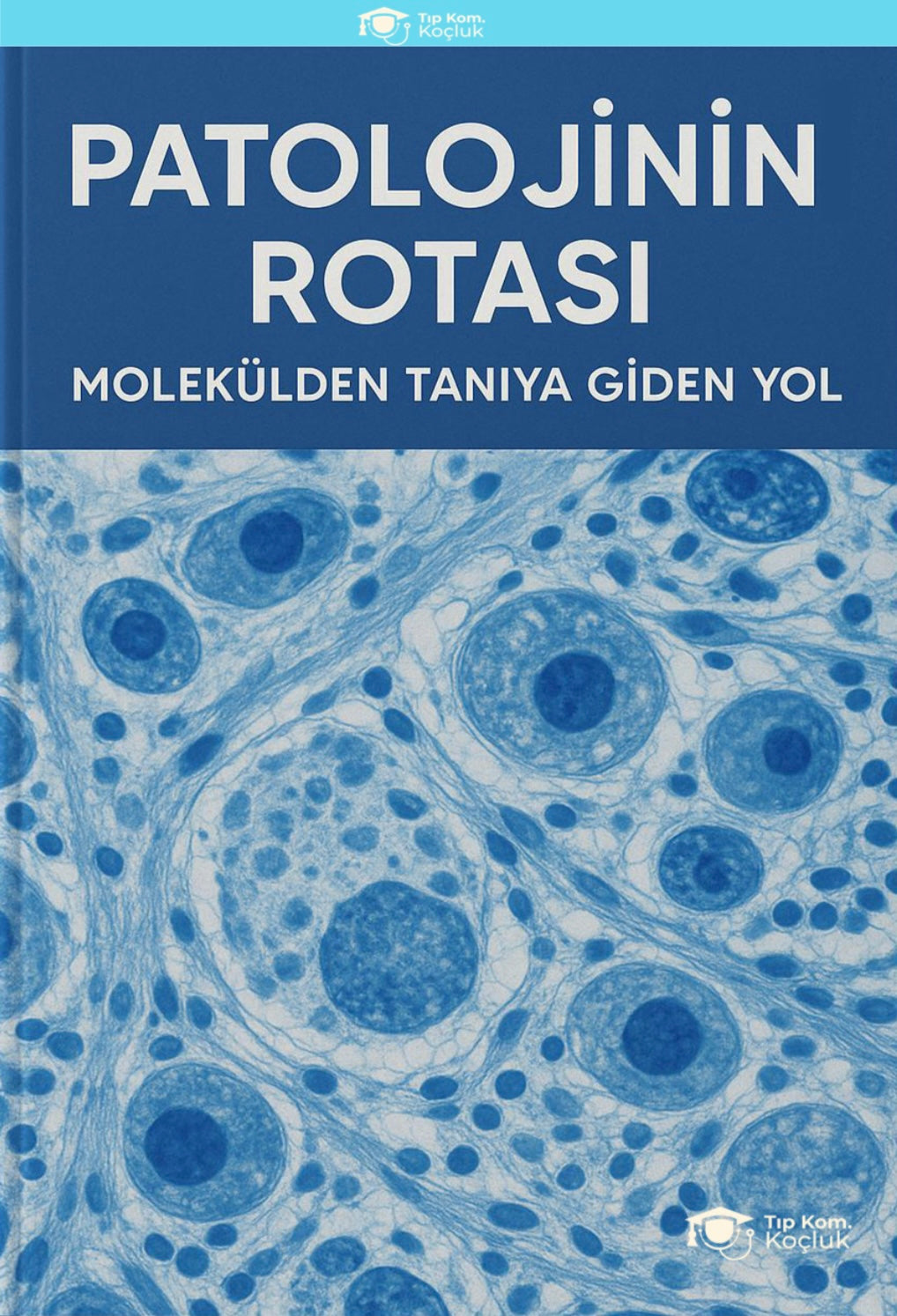 Komite Notları