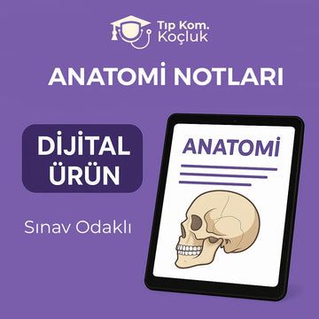 Komite / Anatomi Notları