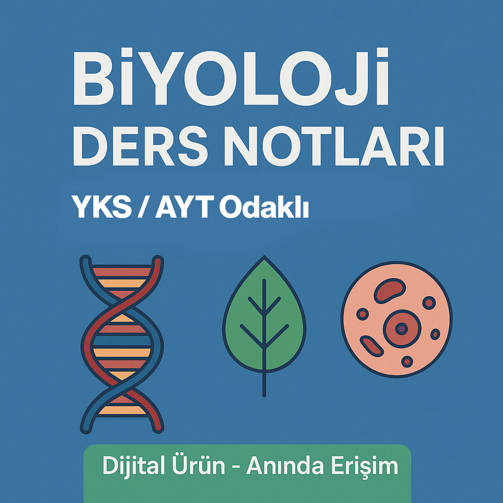 YKS / AYT Notları