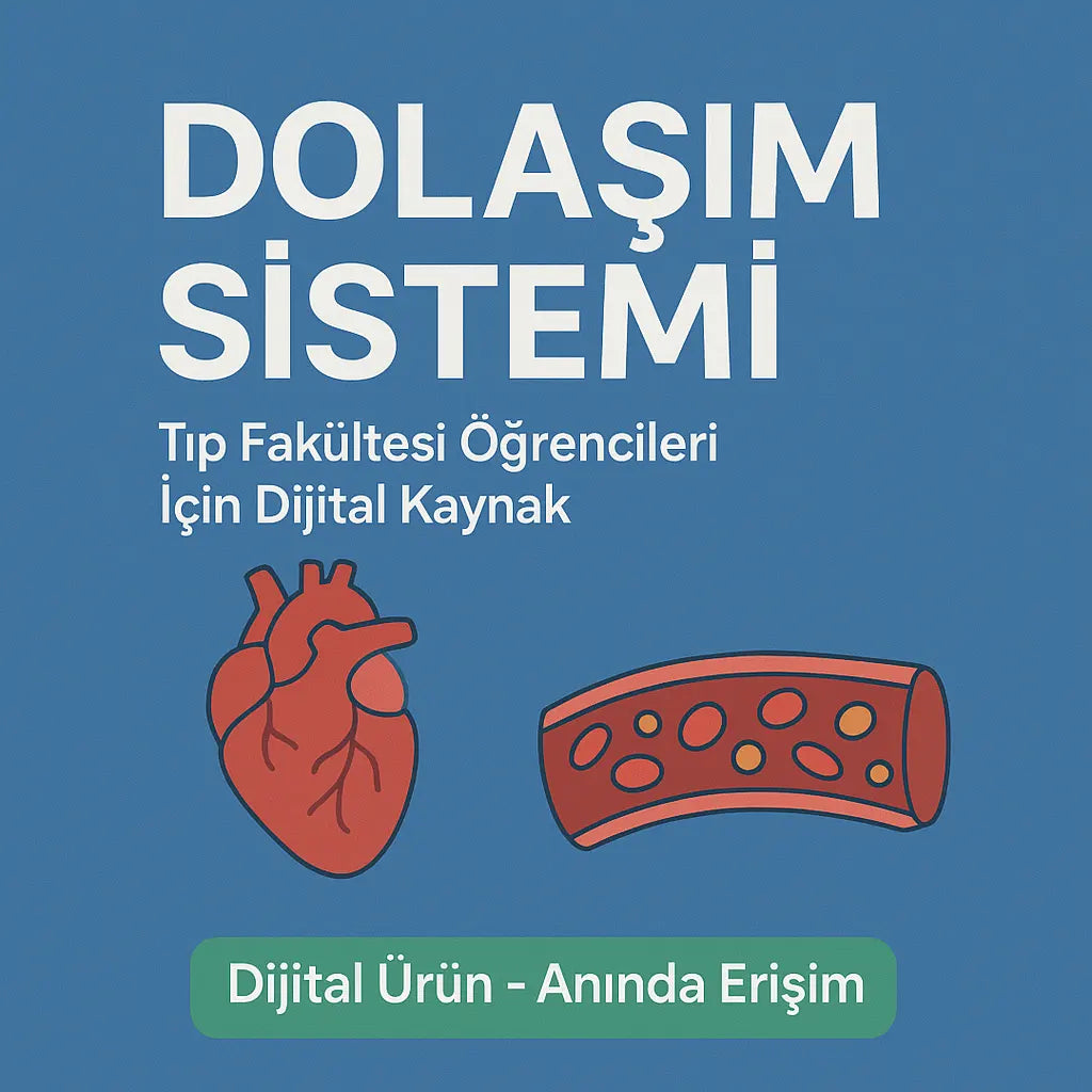 Dolaşım Sistemi ve Kalp Notları