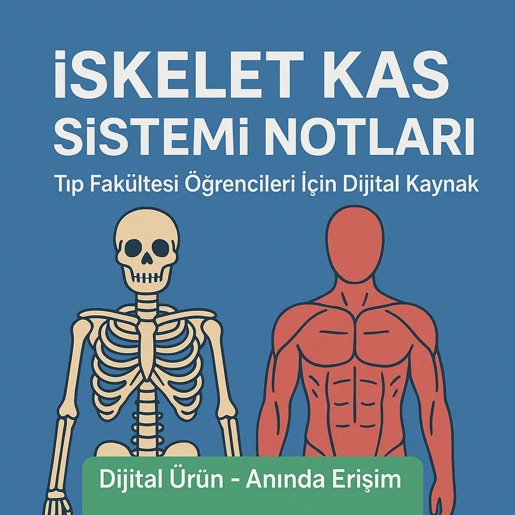 İskelet Kas Sistemi Notları