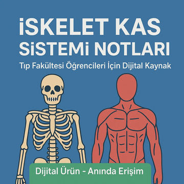 İskelet Kas Sistemi Notları