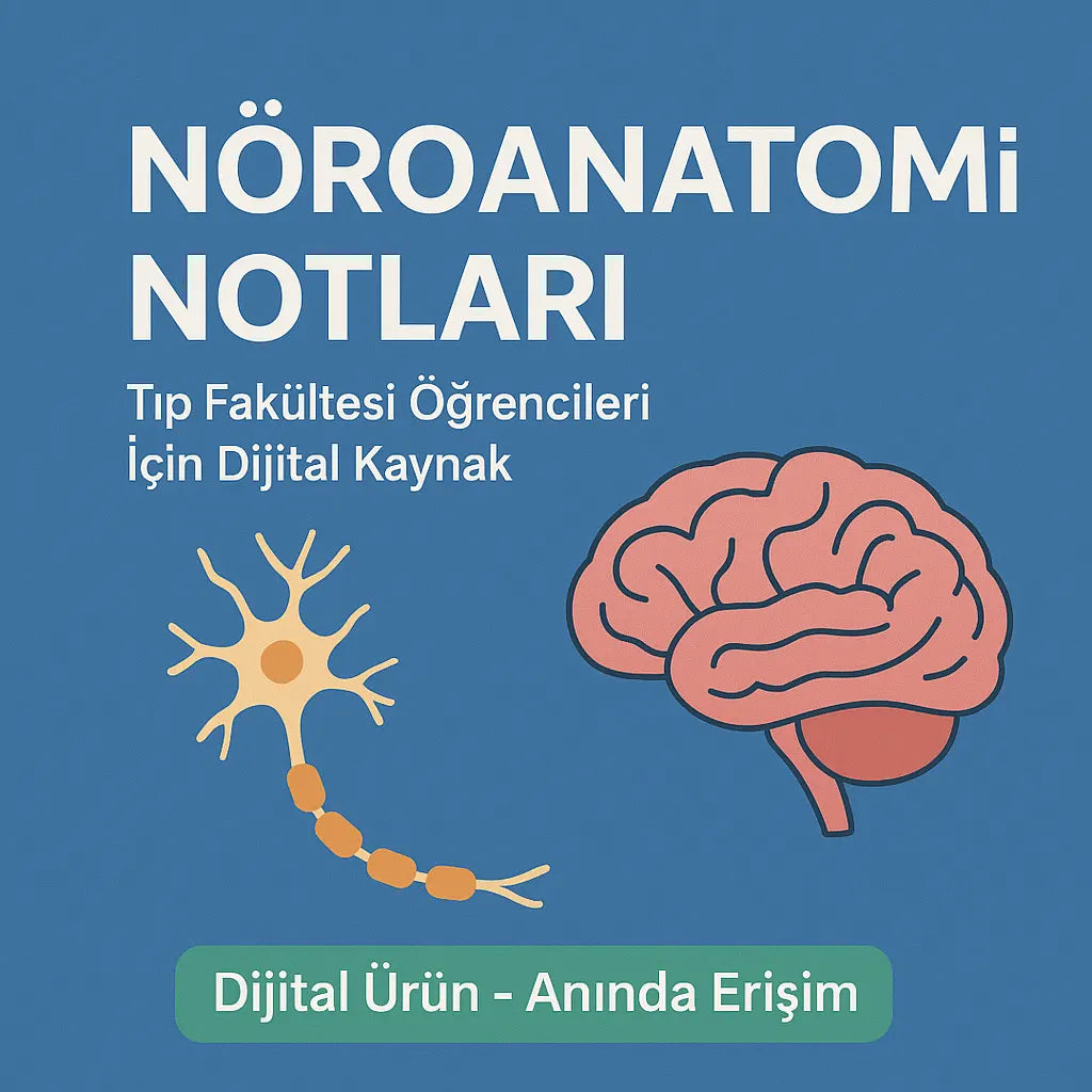 Nöroanotomi Notları