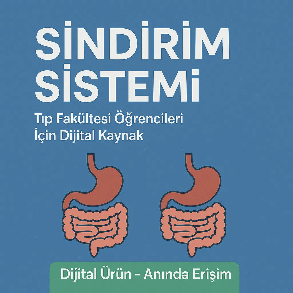 Sindirim Sistemi Notları