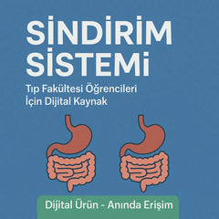 Sindirim Sistemi Notları
